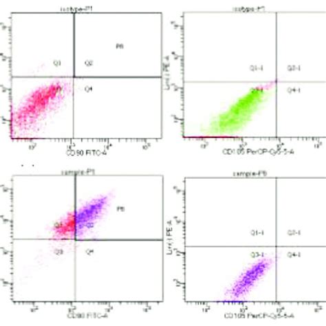 Flow Cytometry Amniotic Fluid Mesenchymal Stem Cells Download