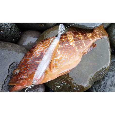 HARDCORE バレットファスト DUEL ハードコア バレットファスト S 140S 140 45g デュエル シンキング シーバス ソルトミノー ルアー F1244 エムジー