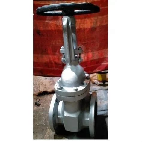 Globe Valves Class 600 At ₹ 5500 Number Globe Valves In Thane Id 9453673491