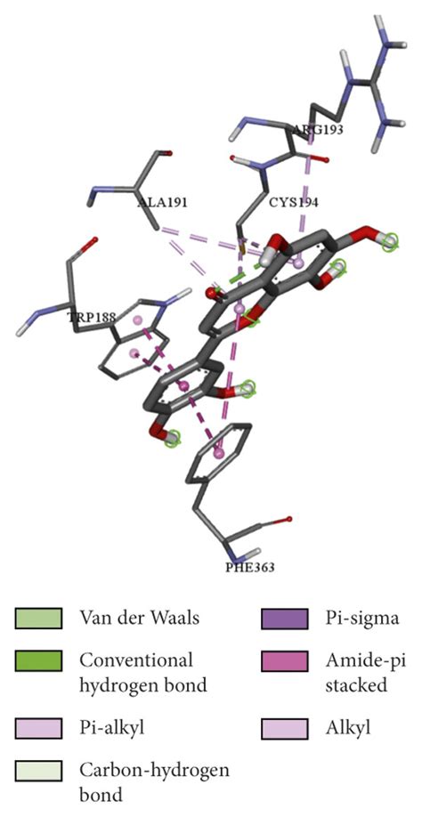 Predicted Binding Mode Within The Active Site Of The Drug Target