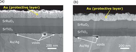 Crosssectional Highresolution SEM Immersion Lens Detector