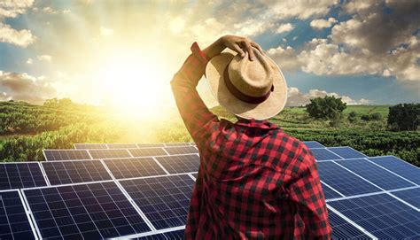 Entenda Como A Energia Solar é O Futuro Do Agronegócio