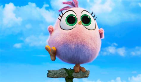 The Angry Birds Movie 1&2 DVD | Zavvi Australia
