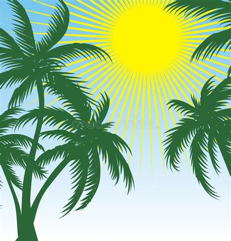 Palmera Sol Y Agua Ilustraciones Stock Vectores Y Clipart