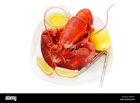 Whole New England Lobster Served with Butter and Lemon Stock Photo - Alamy