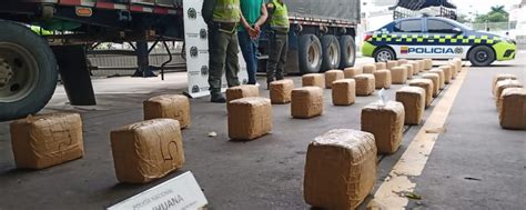 Iba Cargadita Incautan Nuevo Cargamento De Marihuana En El Caribe