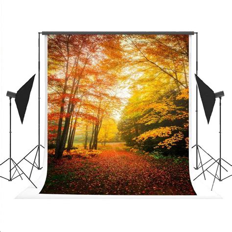 ABPHOTO Polyester Pastel Autumn Forest Scenery Backdrops Photography