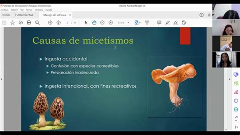 Micetismos Envenenamiento Por Setas Con Mara Haro Youtube