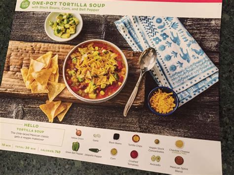 Hello Fresh Vegetarian Subscription Box Review + Coupon - March 2017 ...