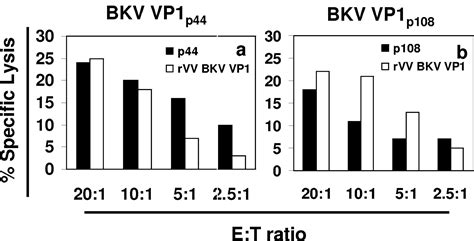 Interplay Of Cellular And Humoral Immune Responses Against Bk Virus In