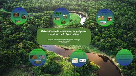 Deforestando La Selva Amaz Nica La Peligrosa Ambici N De La Humanidad