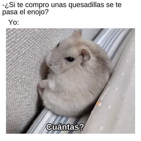 Si te compro unas quesadillas se te pasa el enojo Yo Cuántas Memes