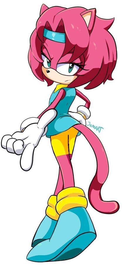 Pin By Esmeralda The Hedeong On Sonic Honey The Cat Sonic Heroes