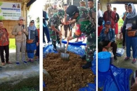 Limbah Baglog Jamur Diolah Jadi Pupuk Organik Bali Express