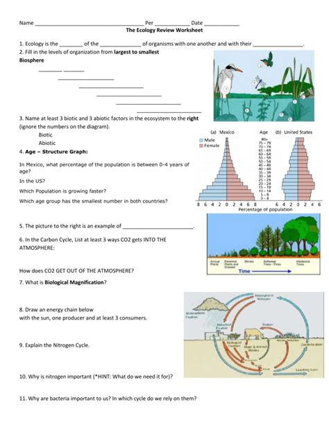 Ecology Review Worksheet 1 — db-excel.com