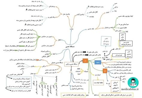 بهترین روش خلاصه نویسی زیست به همراه نمونه خلاصه نویسی