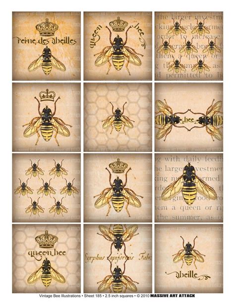 Bee Illustrations Digital Collage Sheet 185 Vintage Beekeeping Text 25 Inch Squares Bee