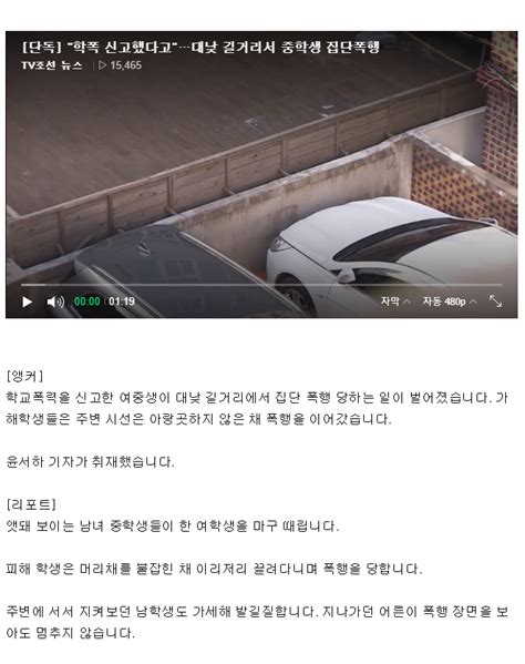 학폭 신고했다고대낮 길거리서 중학생 집단폭행짱공유 명예의 쩐당