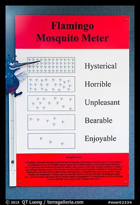 Picture Photo Flamingo Mosquito Meter Everglades National Park