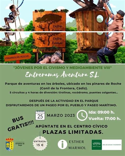 Viaje Entre Ramas Un Parque De Aventuras