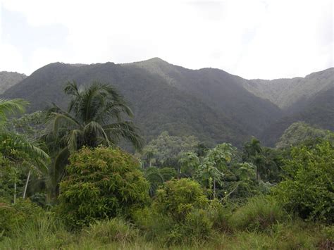 Alejandro De Humboldt National Park Cuba Lac Geo