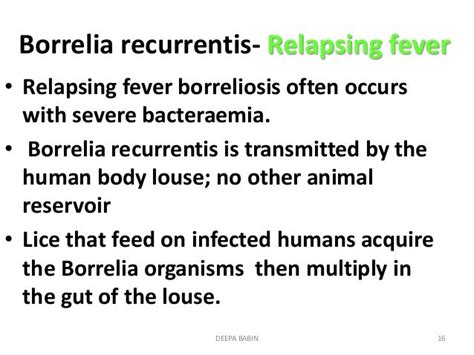 Borrelia spp deepa babin