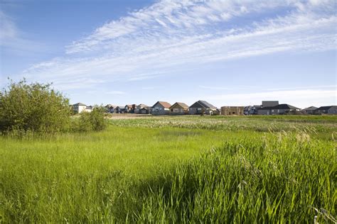 The Cost of Species Protection: The Land Market Impacts of the