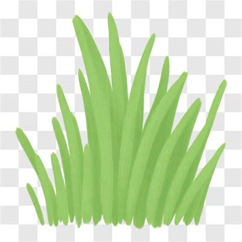 Download Green Grass Clip Art PNGs Online - Creative Fabrica