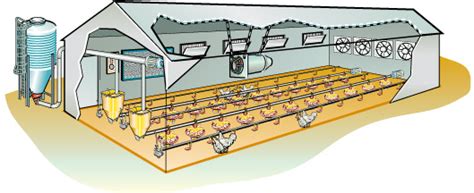 Enviromently Control Poultry Farm Ventilation Systems For Broiler