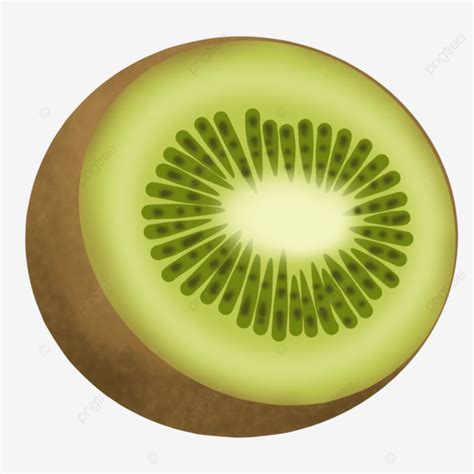 A Slice Of Fresh Kiwi Slice Of Kiwi Fresh Kiwis Kiwi Pieces PNG