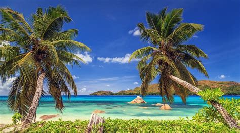 Seychelles Rock Palm Trees Beach Sunset Sea Tropical Summer Nature