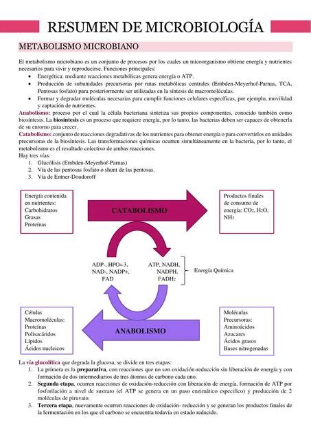 Resumen Metabolismo Microbiano Ana Udocz