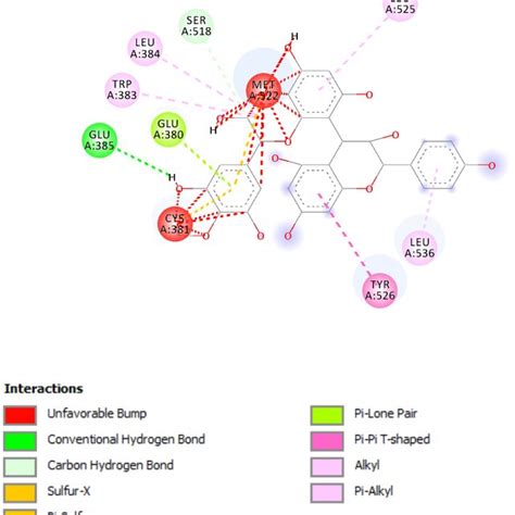 Proanthocyanidin Protein Interactions D Based Hydrogen Bond Based