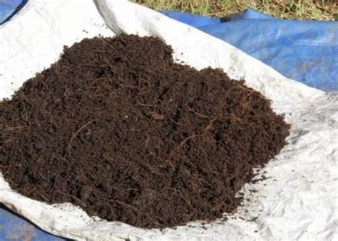 Bio Tech Grade Powder Organic Fertilizer Cocopeat Manure For Agriculture At ₹ 5500tonne In