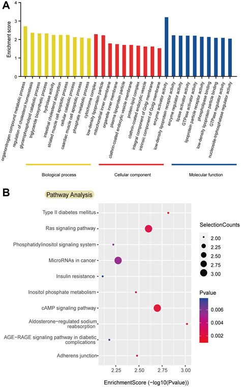 The Circrna Expression Profile Of Colorectal Inflammatory Cancer