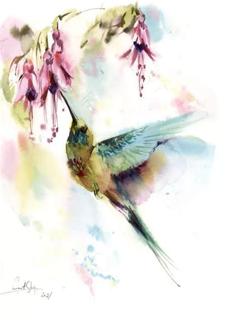 Sophie Rodionov Paintings For Sale Artfinder Watercolor Hummingbird Hummingbird Painting