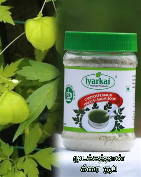 Iyarkai Cardiospermum Halicacabum Mudakkathan Soup 100gm Iyarkai Herbal Products