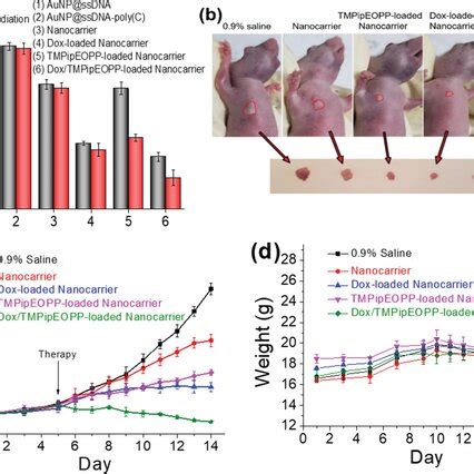 A Viability Of Hela Cells After H Incubation With Different