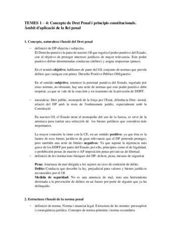 Preguntas Parcial Penal Respondidas Pdf