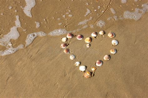 Heart Shape Made From Sea Shells On Sandy Beach Room For Text Royalty