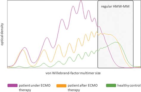 Von Willebrand Factor Vwf Multimer Distributions On Day 3 After Download Scientific Diagram