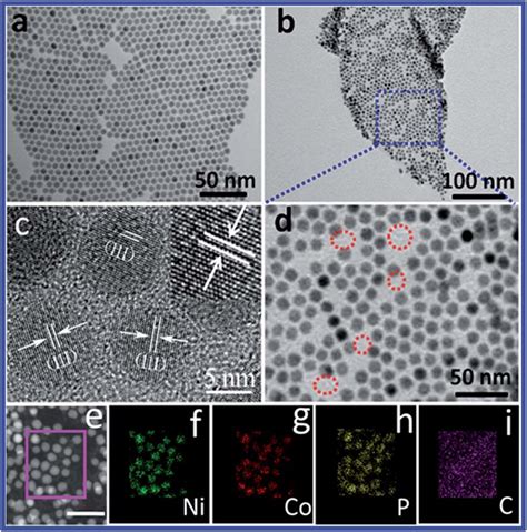 A Tem Image Of The Nicop Nps Assembled On An Amorphous Carbon