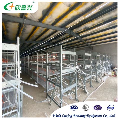 Hot DIP Galvanized Battery Poultry Farm H Frame Automatic Layer Chicken