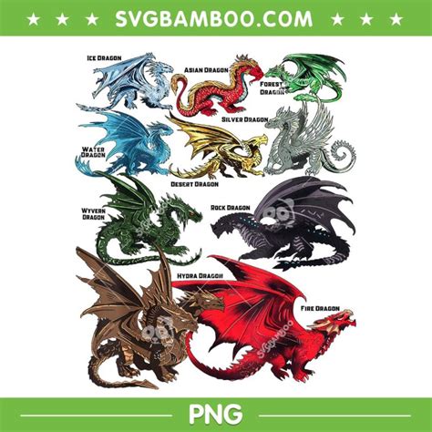 Dragon Types PNG