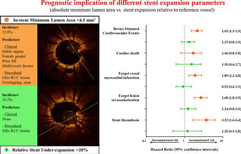 Definition Of Optimal Optical Coherence Tomographybased Stent