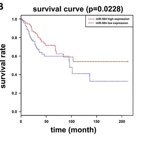 MiR 504 Was Down Regulated In Cervical Cancer Tissue Samples And