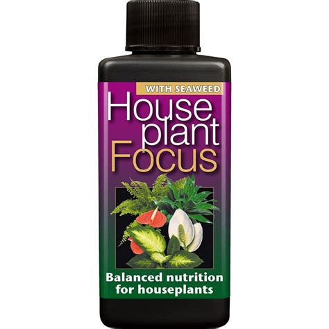 Houseplant Focus Ml Indoor Plant Care Aylett Nurseries