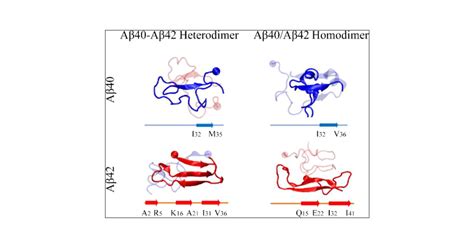 Dissecting The Molecular Mechanisms Of The Co Aggregation Of Aβ40 And