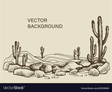 Cacti In Arizona Desert Sketch Royalty Free Vector Image