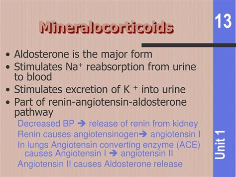 Ppt The Endocrine System Powerpoint Presentation Free Download Id